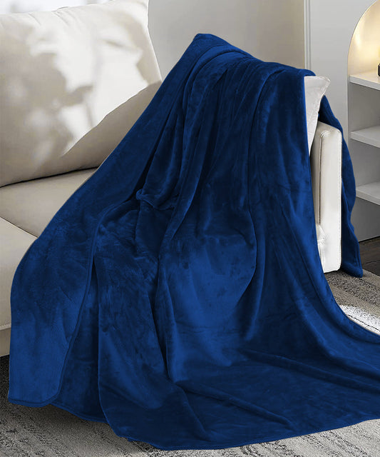 Blue Nest