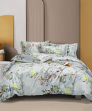 Petal Mirage Flat King Bedsheet With 2 Pillow Covers